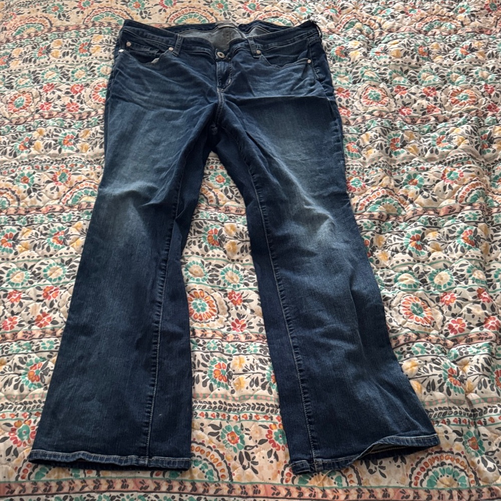 Torrid Dark Blue Flare Jeans